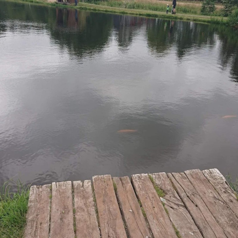 Sommerhus - 6 personer -  - Torpet - 6682 - Hovborg