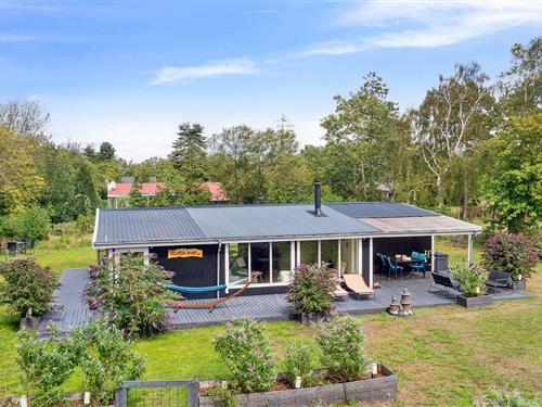 Ferienhaus - 6 Personen -  - Pilestræde - Hummingen - 4983 - Dannemare