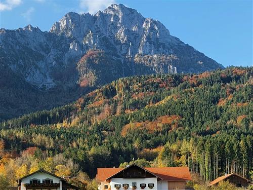 Ferienwohnung - 6 Personen -  - Unterberg - 83454 - Anger