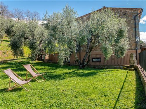 Ferienhaus - 3 Personen -  - Scansano - 58054