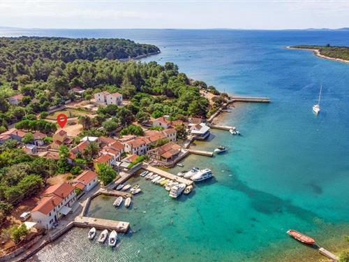 Sommerhus - 4 personer -  - Pogana - Cres-Punta Kriza - 51554 - Punta Kriza