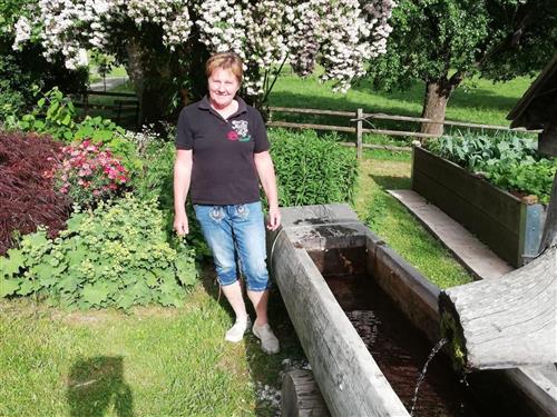 Bauernhof - 4 persons -  - Oberdorf - 8812 - Mariahof