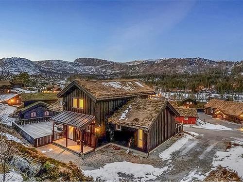 Holiday home - 10 persons -  - Sitåsteigen - Brokke/ Rysstad - 4748 - Rysstad