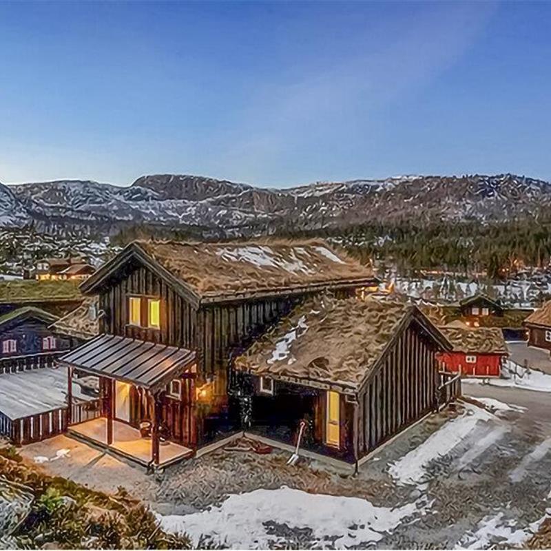 Sommerhus - 10 personer -  - Sitåsteigen - Brokke/ Rysstad - 4748 - Rysstad