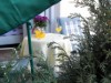 Bild 14