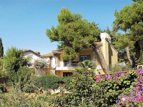 Holiday apartment - 7 persons -  - Osjecka - 52100 - Pula