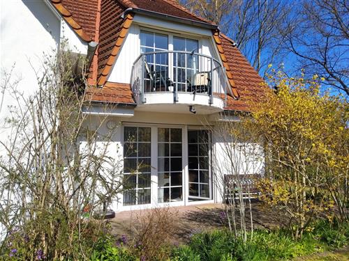 Holiday Home/Apartment - 3 persons -  - Neue Reihe - 18374 - Zingst