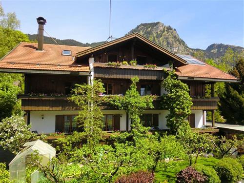 Ferieleilighet - 4 personer -  - Zillenbachstr. - 87541 - Bad Hindelang