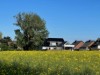 Bild 25