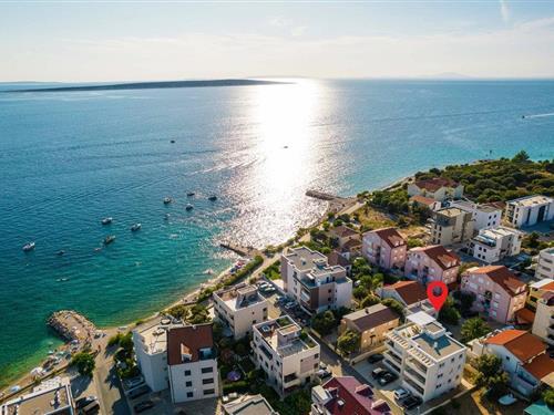 Holiday apartment - 6 persons -  - ulica Jurja Dalmatinca - Pag - Mandre - 23251 - Mandre