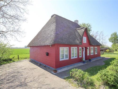 Ferienhaus - 4 Personen -  - Norddeich - 25840 - Koldenbüttel