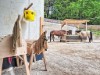 Bild 19 - Ude