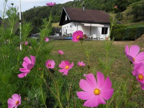 Sommerhus - 3 personer -  - 88250 - La Bresse