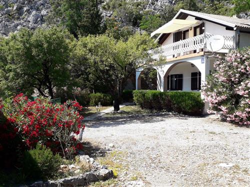 Sommerhus - 1 person -  - Starigrad-Paklenica - 23244