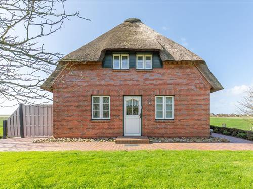 Holiday apartment - 3 persons -  - Westen - 25845 - Nordstrand