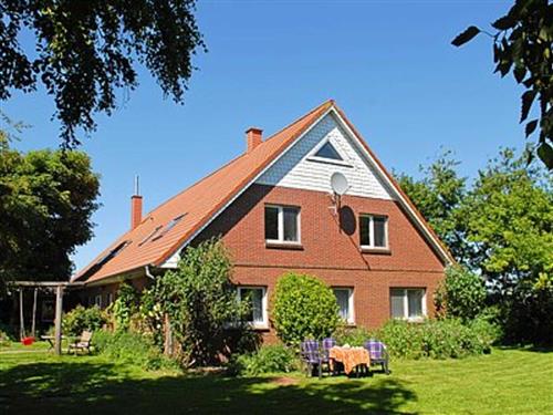 Bauernhof - 5 persons -  - Elisabethgroden - 26434 - Wangerland