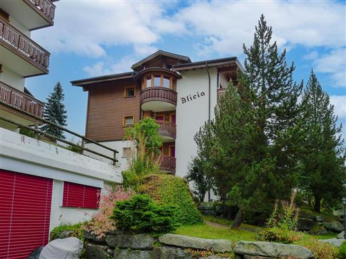 Ferielejlighed - 4 personer -  - Grächen - 3925