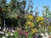 Image 14
