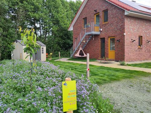 Ferieleilighet - 4 personer -  - Alfred-Kollmar-Weg - 27726 - Worpswede