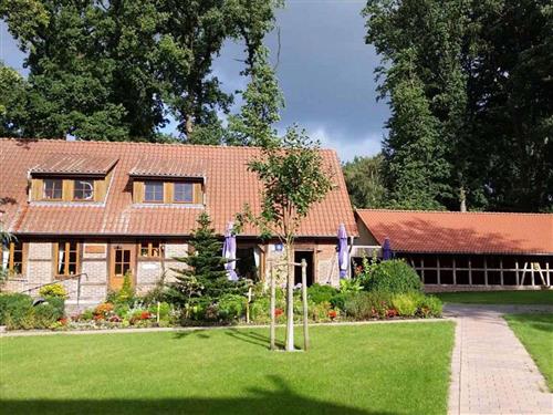 Ferieleilighet - 4 personer -  - Nordkampen - 29664 - Walsrode