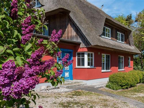 Feriehus - 4 personer -  - Jagdhaus - 18375 - Wieck