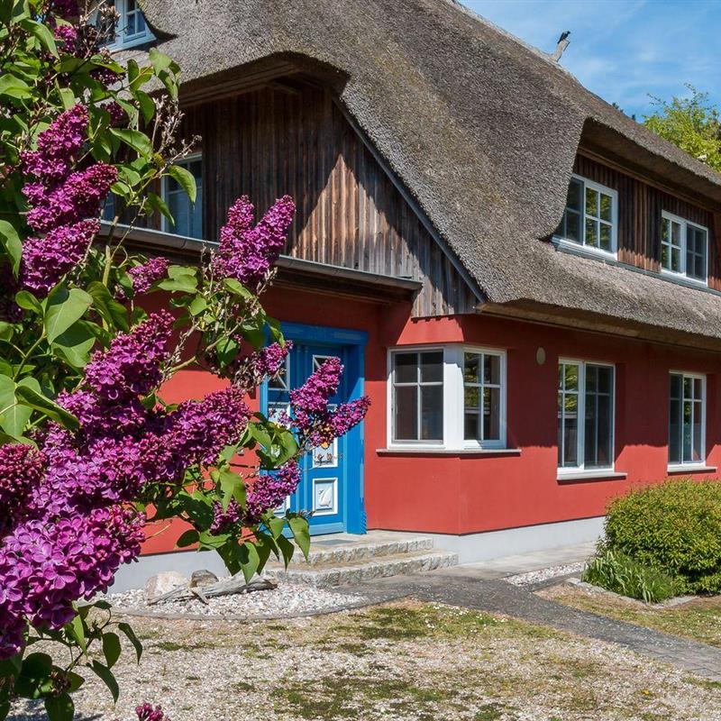 Sommerhus - 4 personer -  - Jagdhaus - 18375 - Wieck