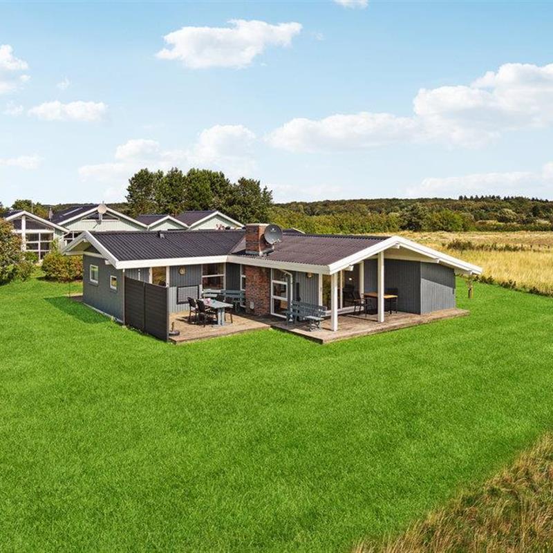 Ferienhaus - 6 Personen -  - Bjerghammer - Faldsled - 5642 - Millinge