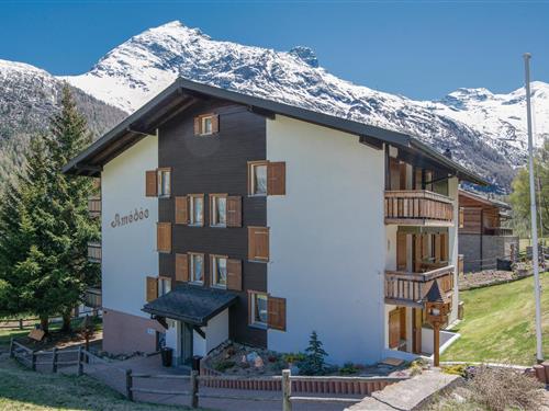 Ferienhaus - 2 Personen -  - Obere Gasse - 3906 - Saas-Fee