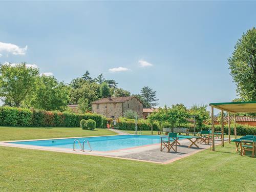 Holiday home - 12 persons -  - Via Casole - Vicchio - 50039 - Vicchio -Fi-