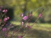 Billede 4