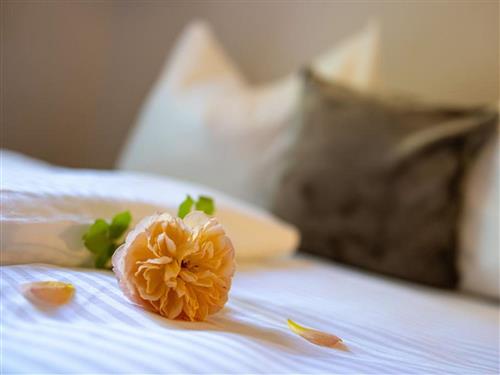 Ferielejlighed - 3 personer -  - Erlaufseestraße - 8630 - Mariazell