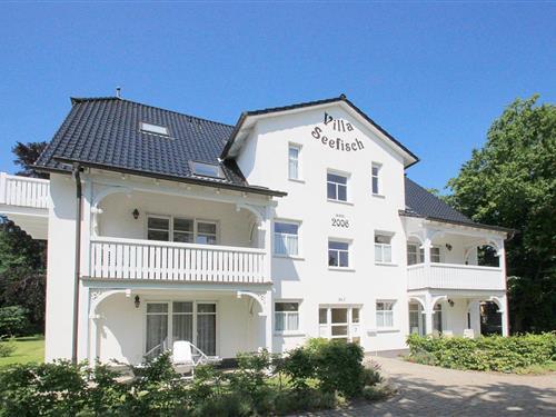 Semesterhus/Semesterlägenhet - 4 personer -  - Ulmenallee - 18586 - Göhren (Ostseebad)