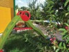 Bild 15