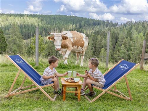 Feriehus / leilighet - 8 personer -  - Stoichartweg - 9571 - Hochrindl