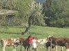 Billede 9