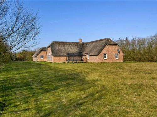 Sommerhus - 18 personer -  - Kornbjergvej - Vedersø Klit - 6990 - Ulfborg