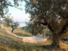 Image 21 - Outside