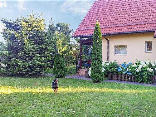 Holiday Home/Apartment - 6 persons -  - ul. Osiedle wakacyjne - Sikorzyno - 83-316 - Golubie