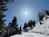 Bilde 5