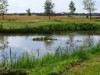 Billede 15 - Udsigt over vand