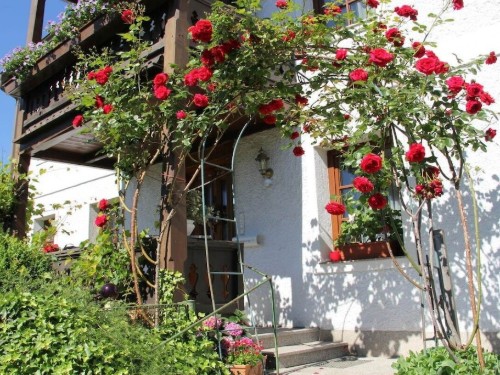 Sommerhus - 6 personer -  - 4865 - Nußdorf\/Attersee