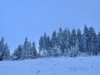 Bild 23 - Ort