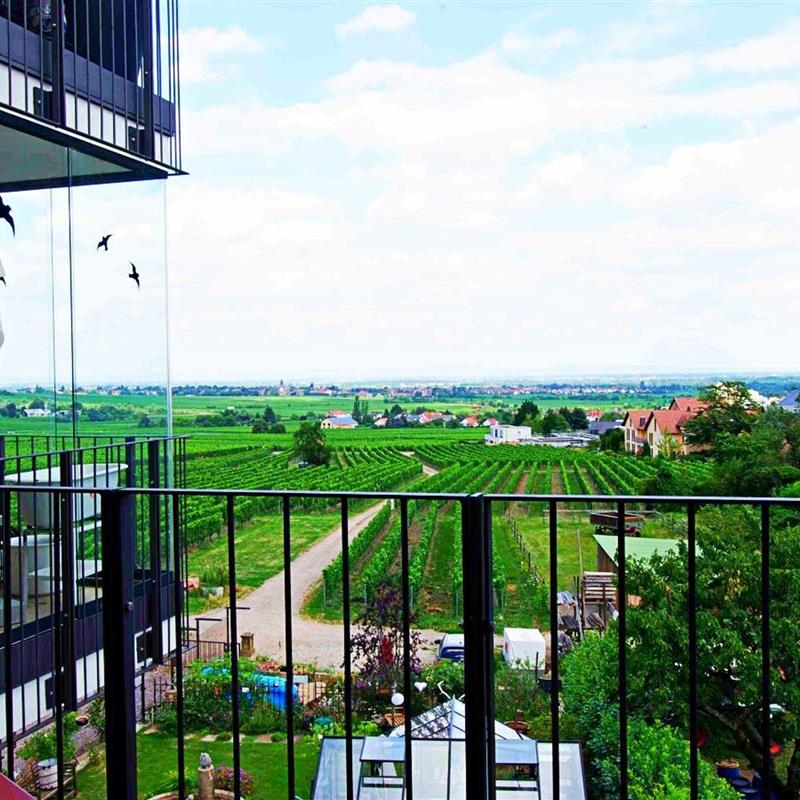 Ferielejlighed - 2 personer -  - Mandelring - 67433 - Neustadt An Der Weinstraß