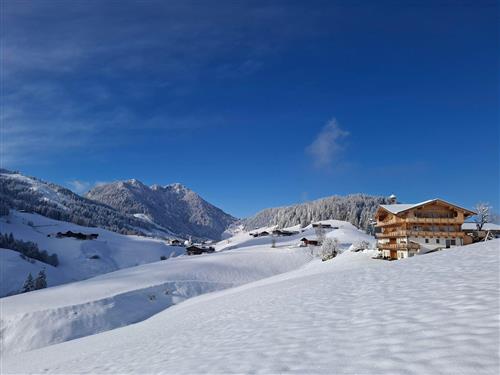 Bauernhof - 6 Personen -  - Wiem-Madlstatt - 6311 - Wildschönau - Oberau