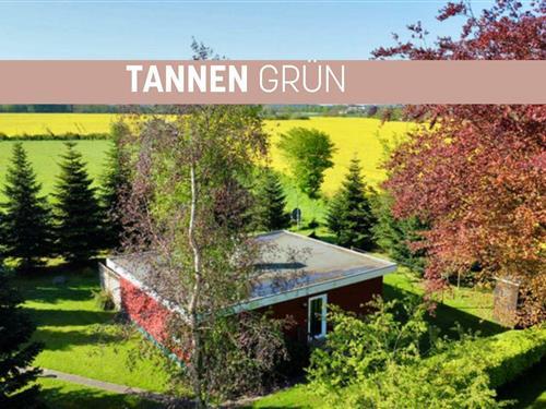 Ferieleilighet - 4 personer -  - Goldhöft - 24395 - Gelting