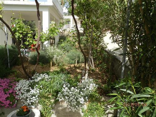 Holiday Home/Apartment - 5 persons -  - 826 - Rab - Banjol