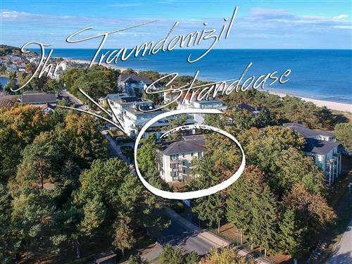 Ferieleilighet - 3 personer -  - Maxim- Gorki- Straße - 17424 - Heringsdorf (Seebad)