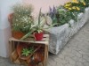 Bild 46