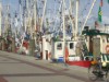 Billede 20