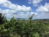 Image 28 - Outside